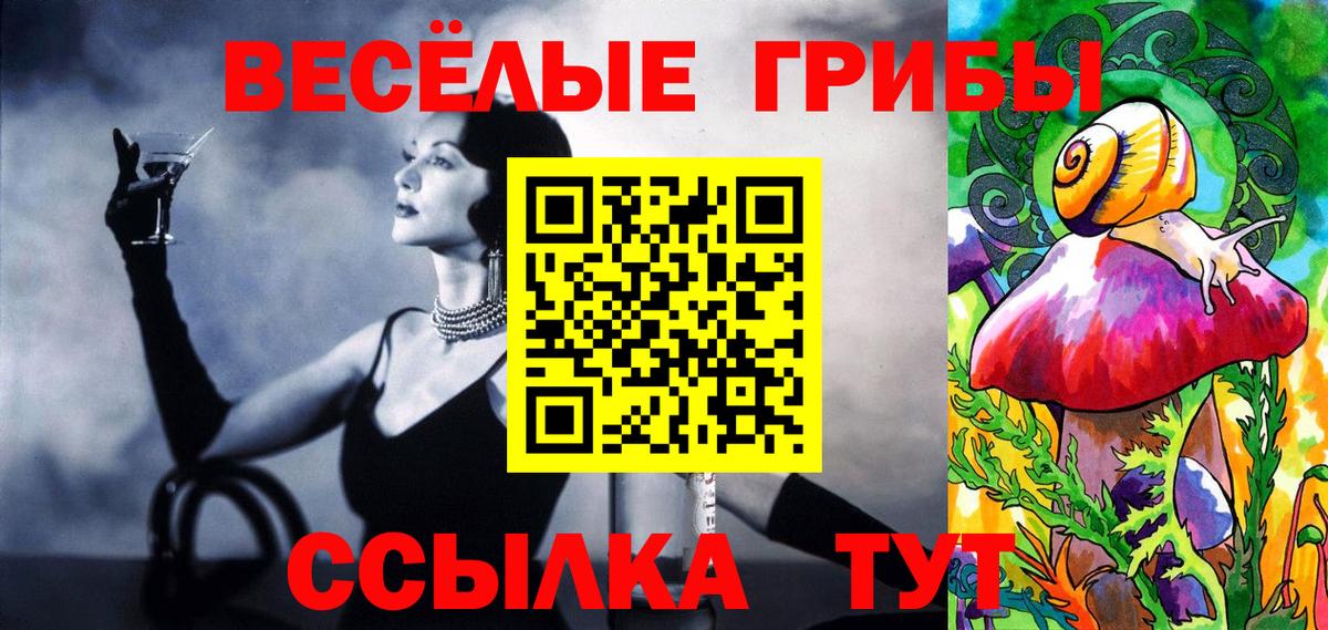 Соль-Илецк  Псилоцибиновые грибы GOLDEN TEACHER  Псилоцибиновые грибы MAGIC MUSHROOMS  Вход с VPN 