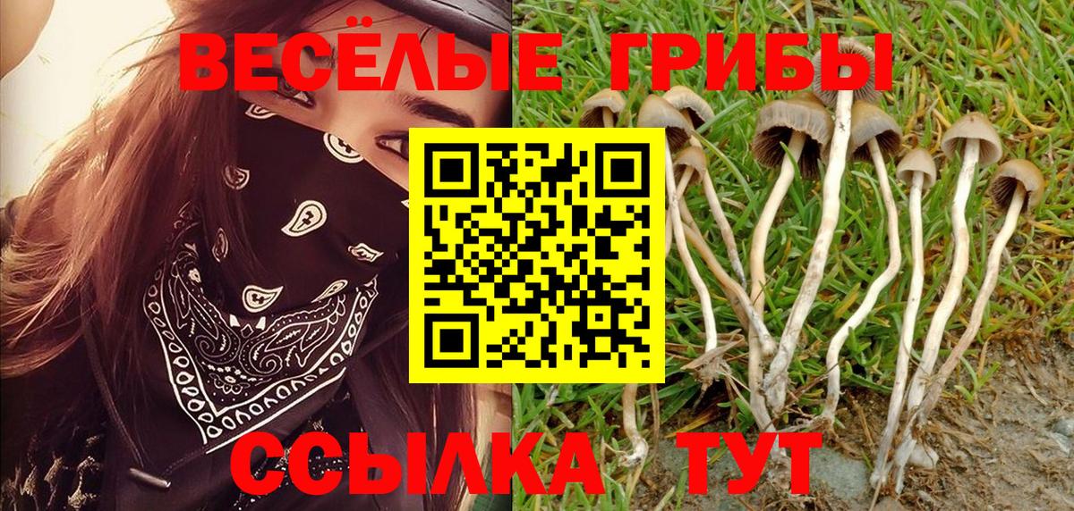 Галлюциногенные грибы мухоморы Соль-Илецк