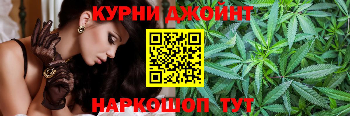 МАРИХУАНА сатива Соль-Илецк